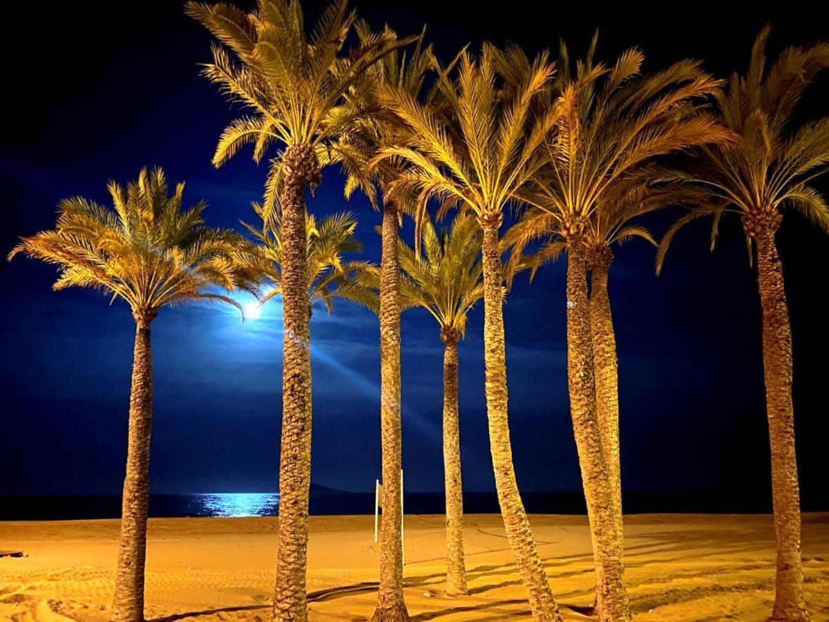 See The Sea Miramar Apartment - 150M To The Beach Benidorm Eksteriør billede